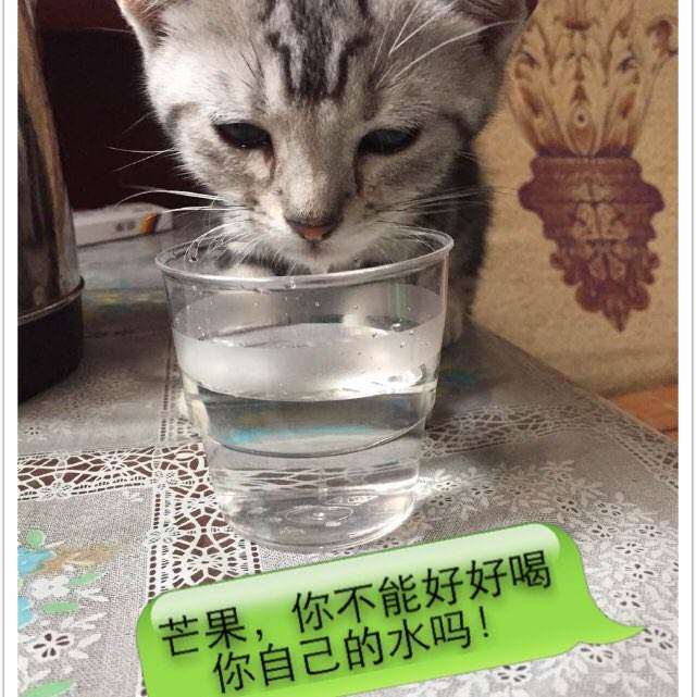 哪里能办中国农业银行定期存单